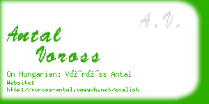 antal voross business card